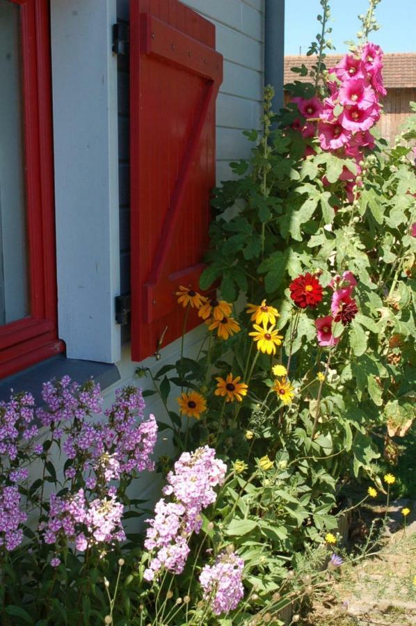 B&B La Maison Des Collines Autour Chambres D'Hotes La Chapelle  Eksteriør bilde